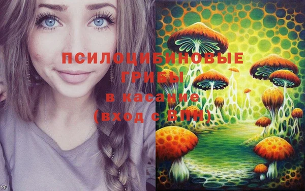 прущие крисы Беломорск