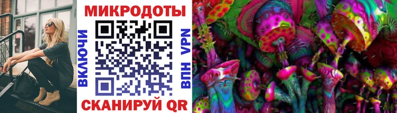 как найти закладки  Плёс  Псилоцибиновые грибы мицелий 
